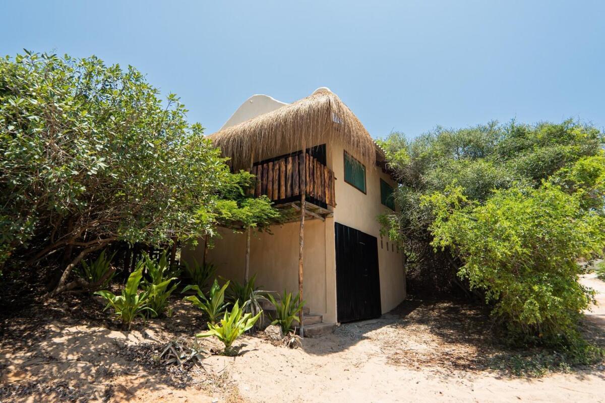 Tree House Cottage, Garden Views, Hot Water Praia do Praia do Tofo Exteriör bild